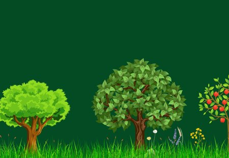 An illustration of three trees - each with a very different appearance