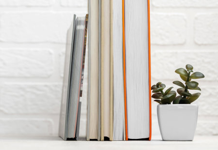 photograph of a few books and a little plant on a shelf