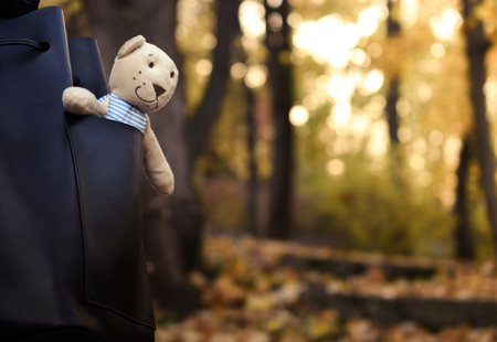 Happy teddy bear poking out of a backpack with trees in the background