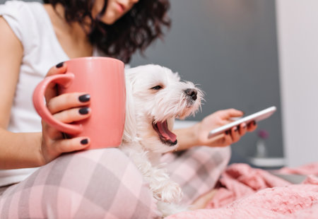 Sweet Little White Dog Yawning Knees Young Woman Pajamas Chilling Bed With Cup Tee Enjoying Ome Comfort With Pets Cheerful Mood