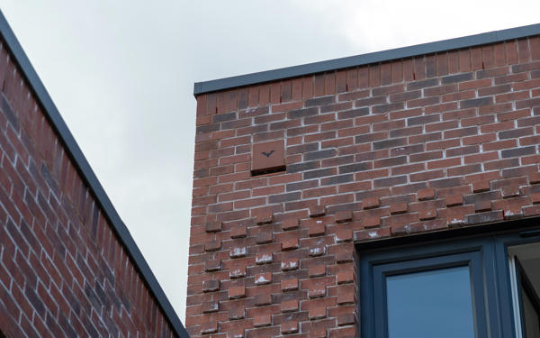 Bat box on roof of apartment block