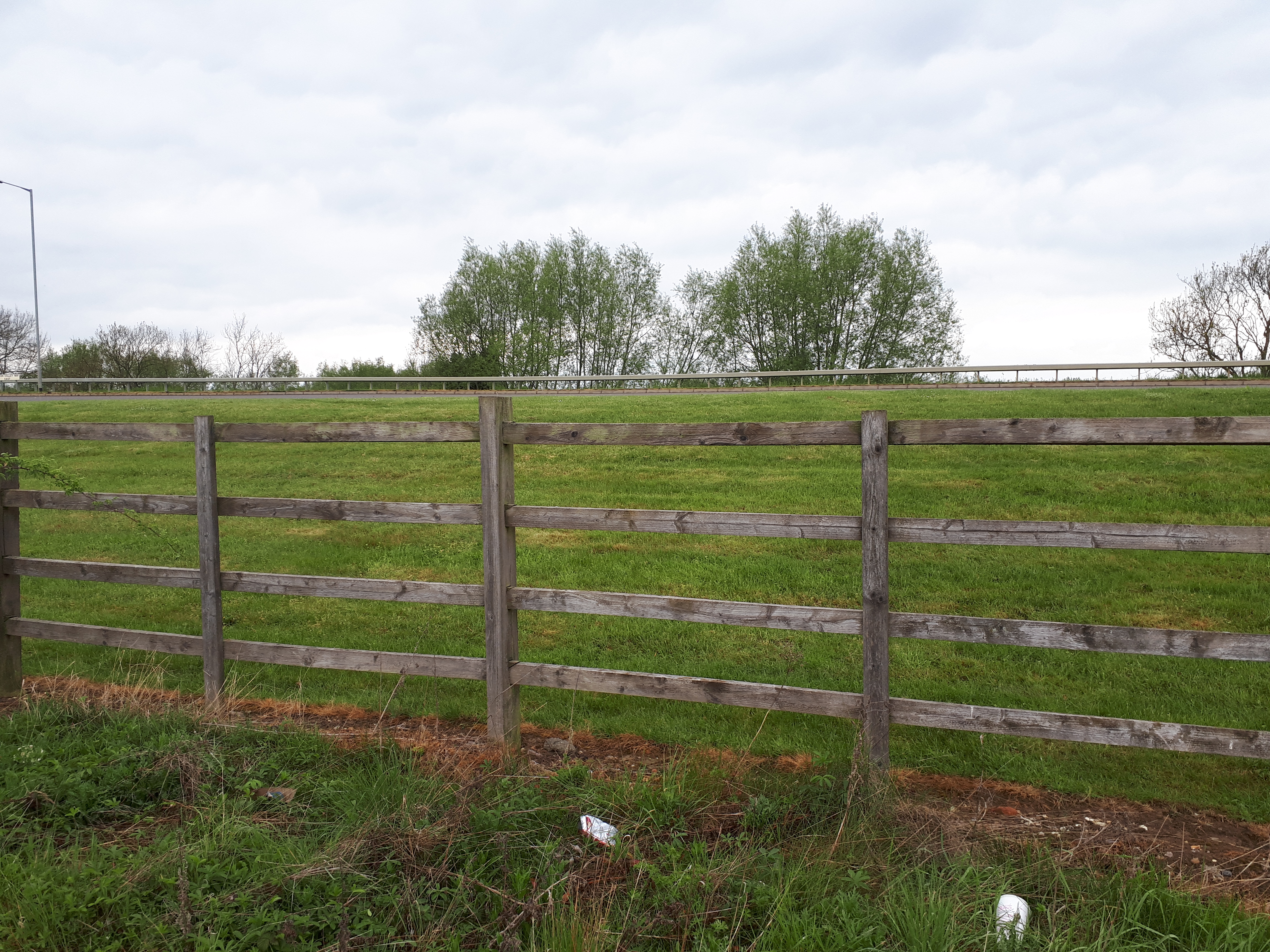 A grassy field behind a wooden fence.