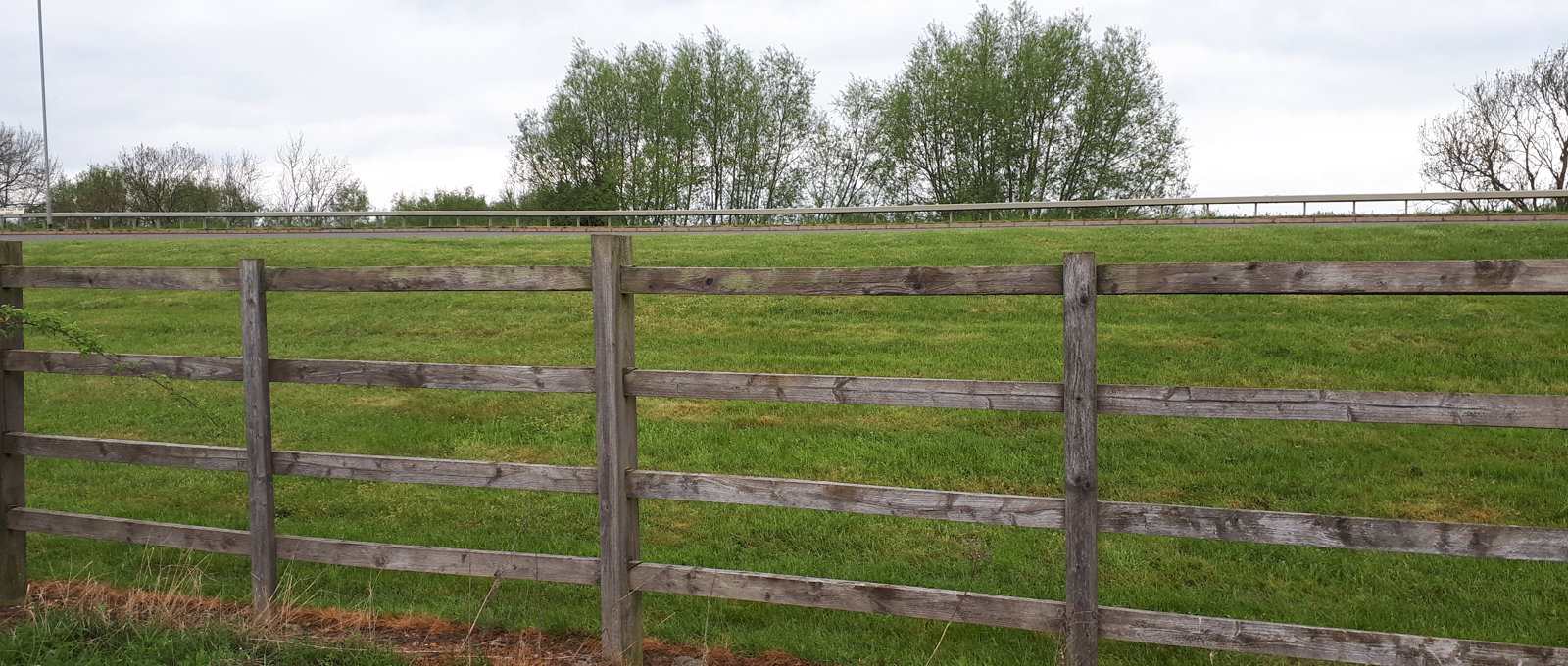 A grassy field behind a wooden fence.