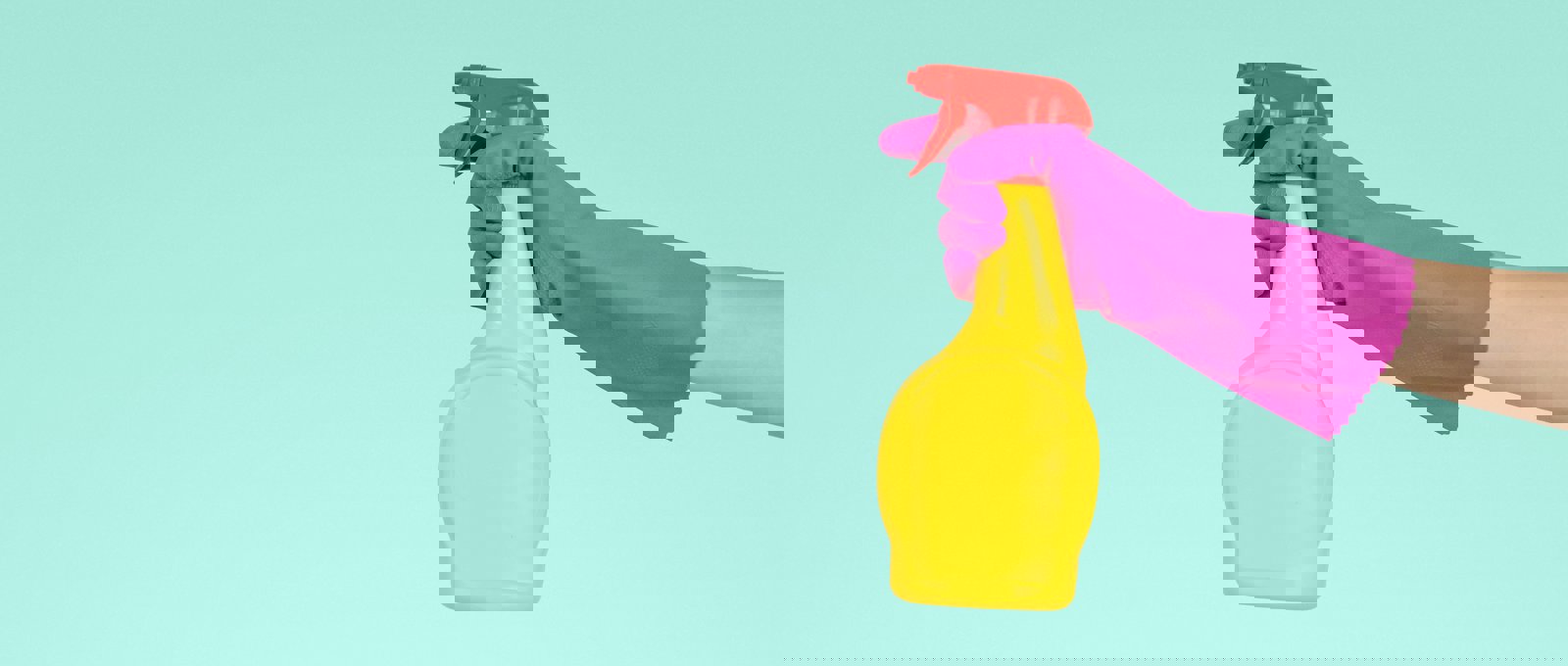 Bright Cleaning Picture