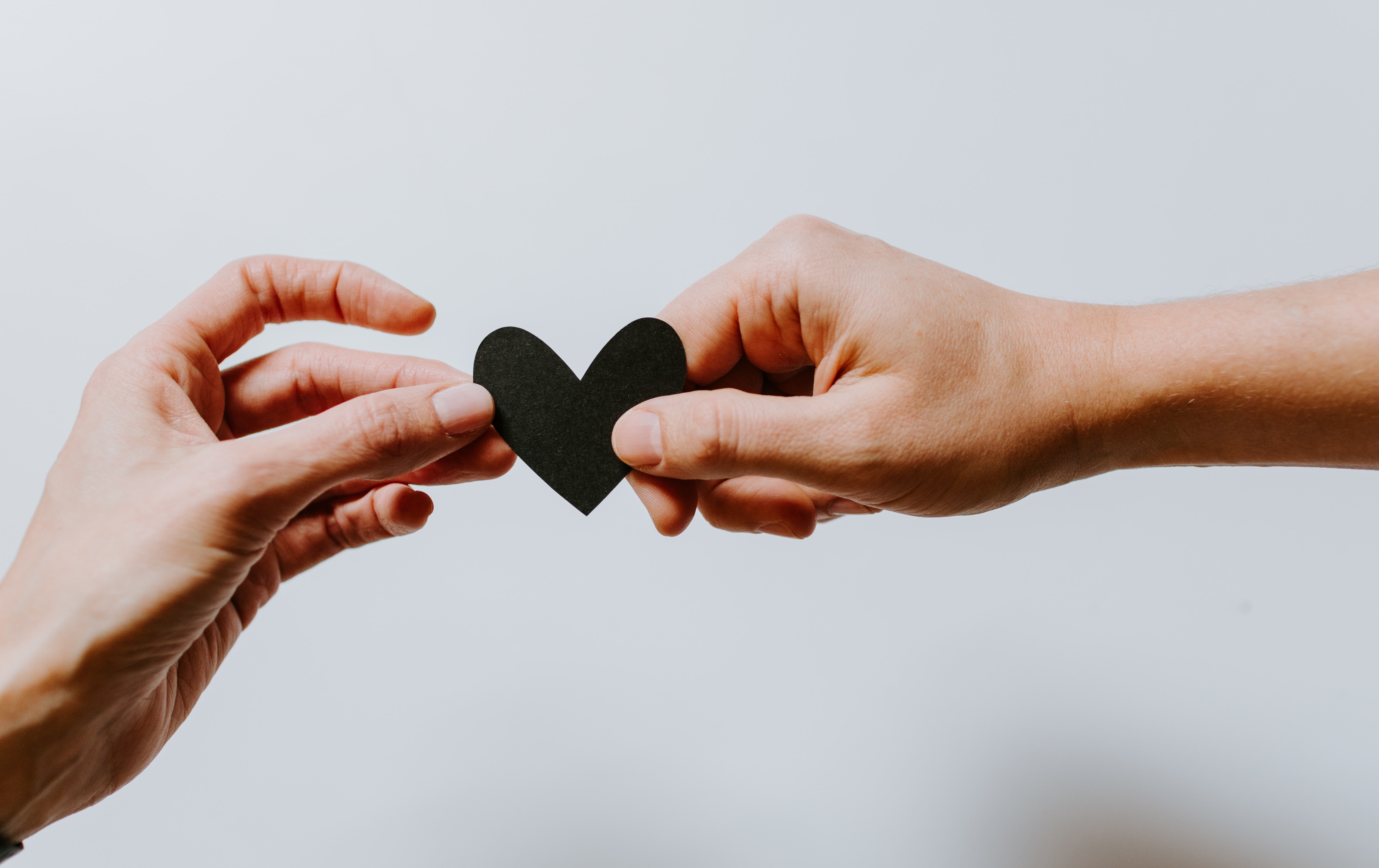 Kelly Sikkema 4Le7k9xvyje Unsplash