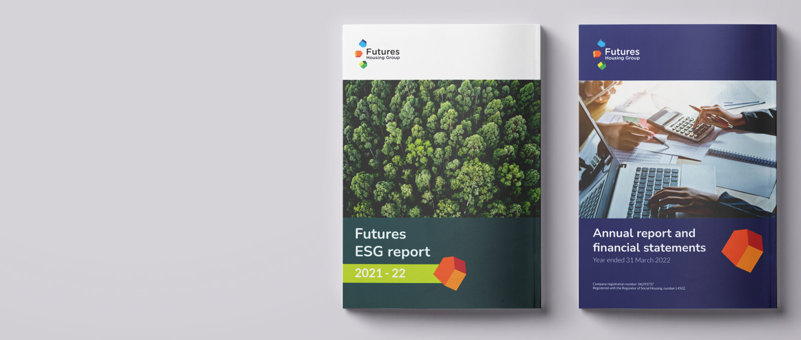 Website banner ESG report and financial statement