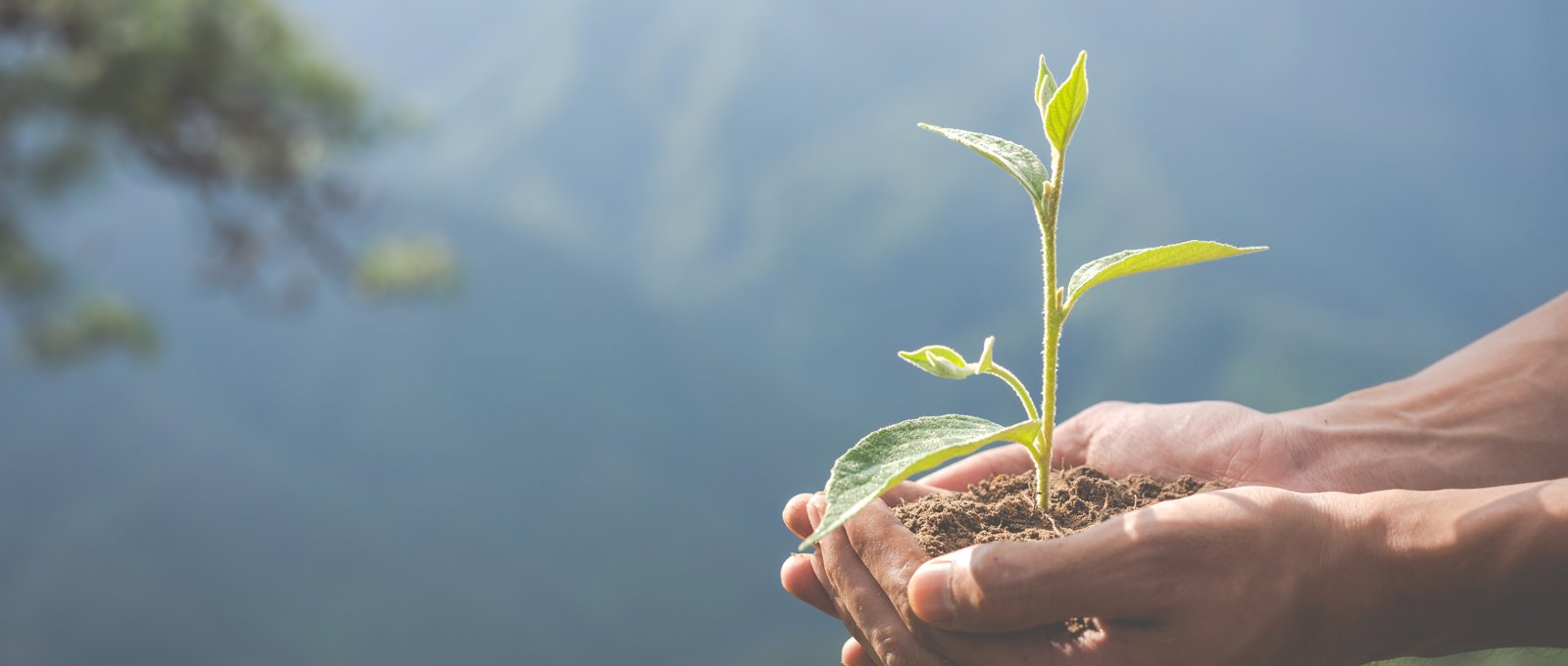 Environmental Conservation Garden Children (2)