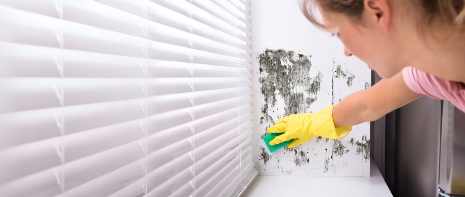 Photograph of a woman cleaning mould from a wall by a window covered with a venetian blind