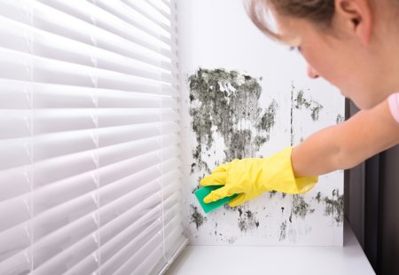 Photograph of a woman cleaning mould from a wall by a window covered with a venetian blind