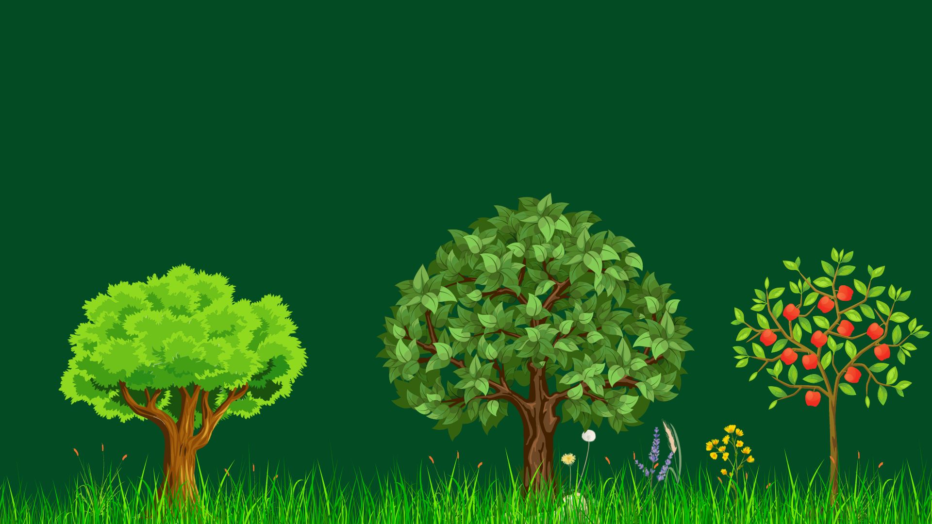 An illustration of three trees - each with a very different appearance