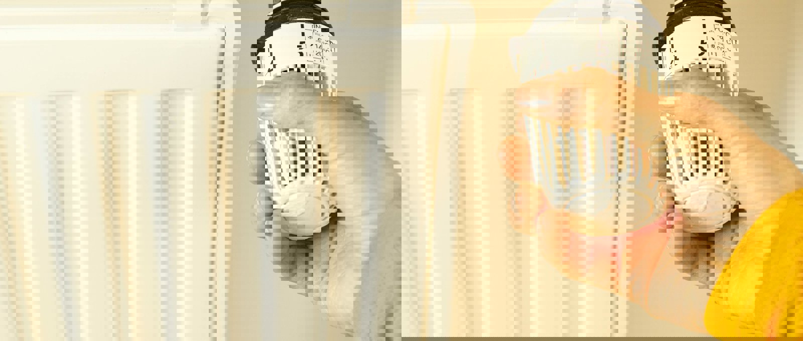 Pexels Boom 12644994