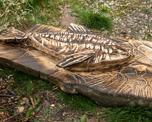 IMG 4791