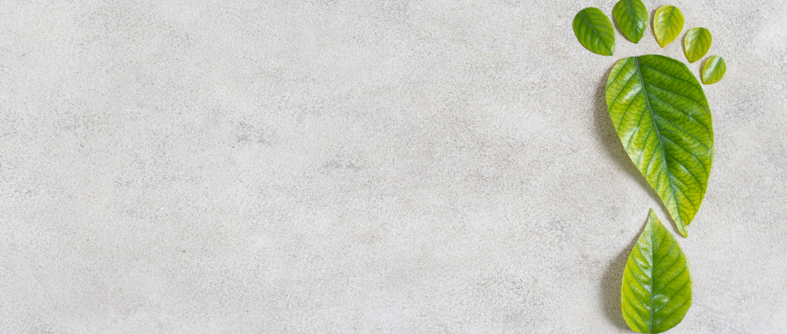 Photograph of leaves cut out and laid on a surface to make the shape of a footprint