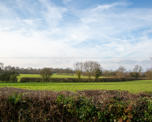 Countryside view from back of Stephenson Court