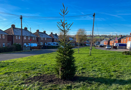 20251121 113933951 Ios