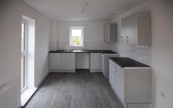 Modern white and grey kitchen in apartment