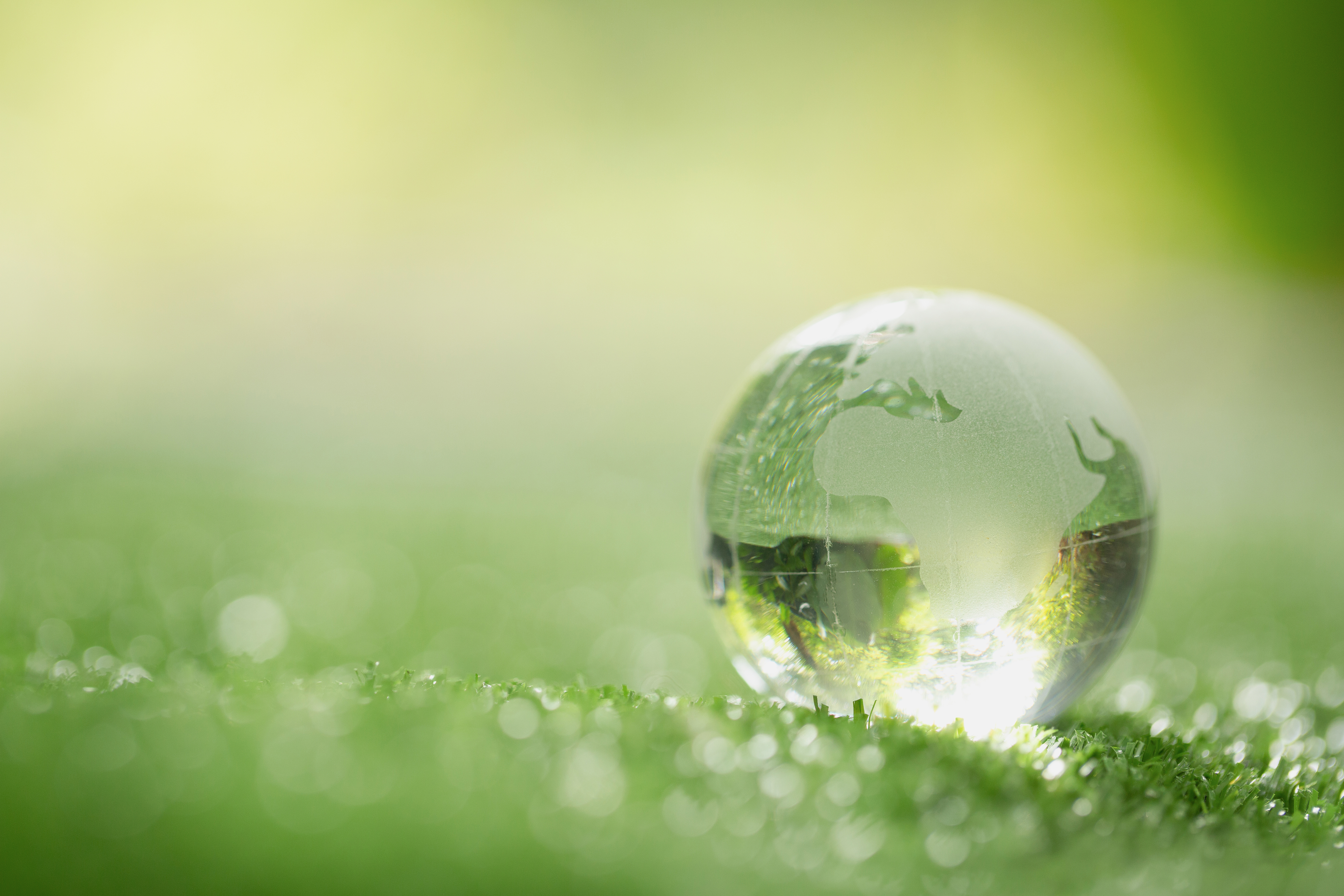 close up photo of a glass ball engraved to look like Earth sitting on grass