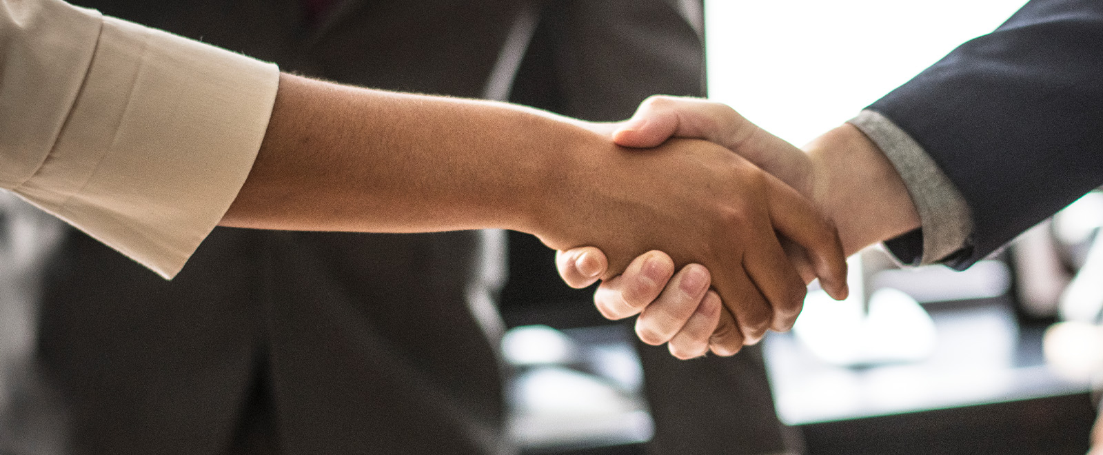 Business People Shaking Hands