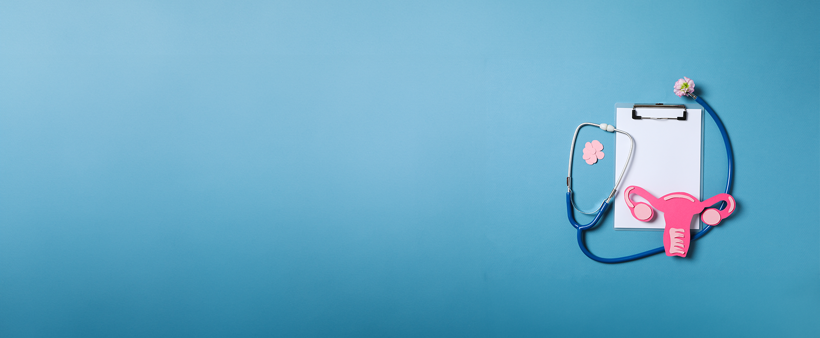 Pink cardboard uterus on a clipboard, stethoscope, pink flowers and blue background.