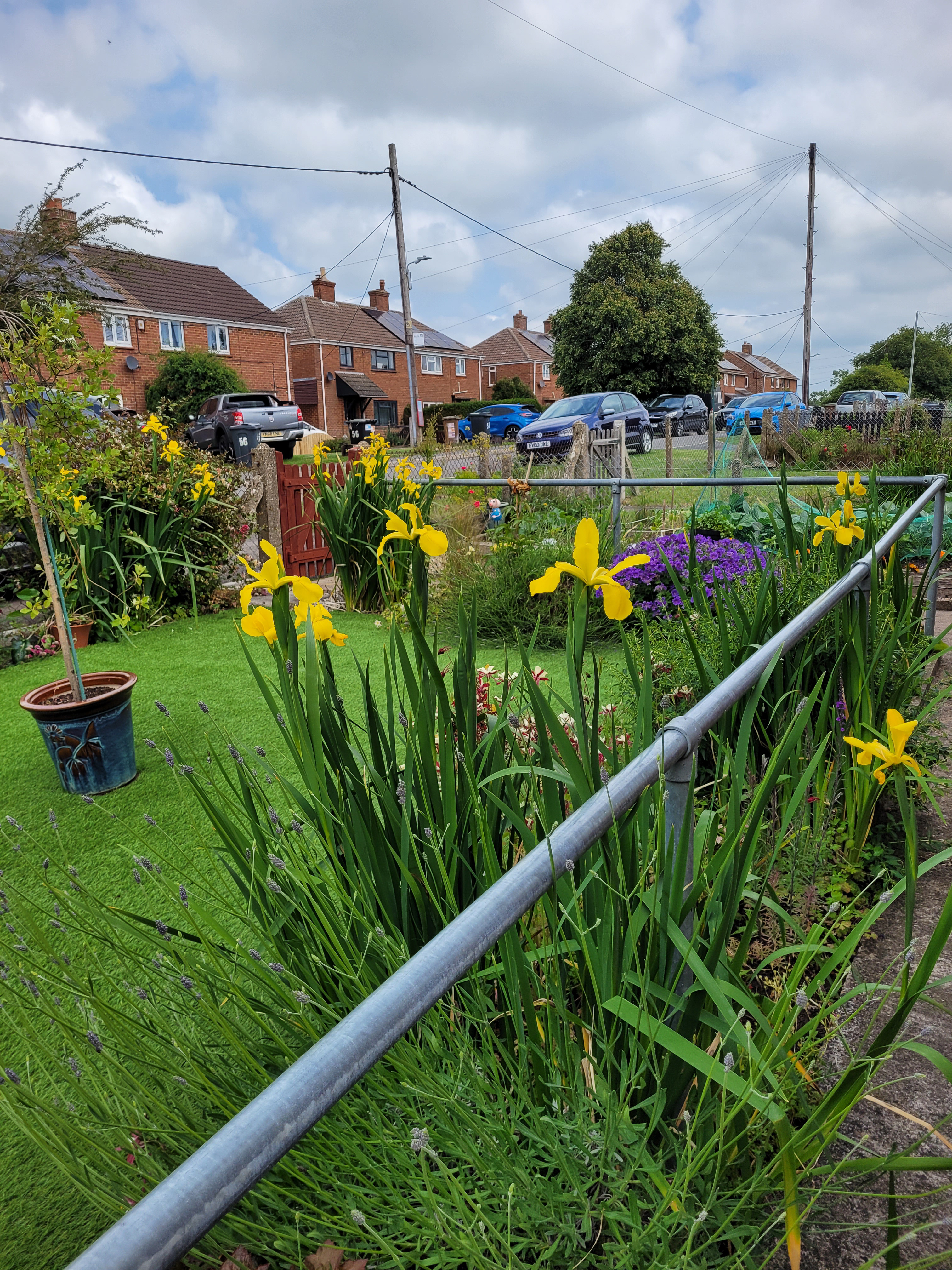 Photo of a customer's garden