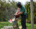IMG 4597