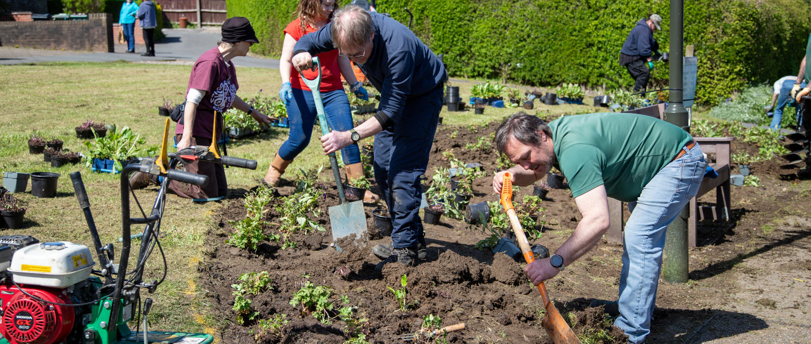 Planting flowers with Transition Crich