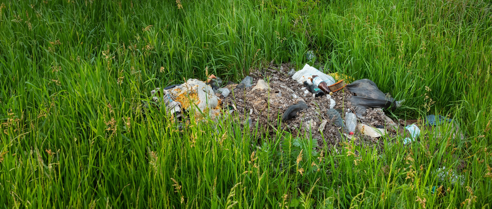 Photo of rubbish and waste dumped in the middle of a grassy area