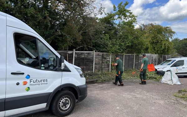 Futures employees tidying up leaves and trees