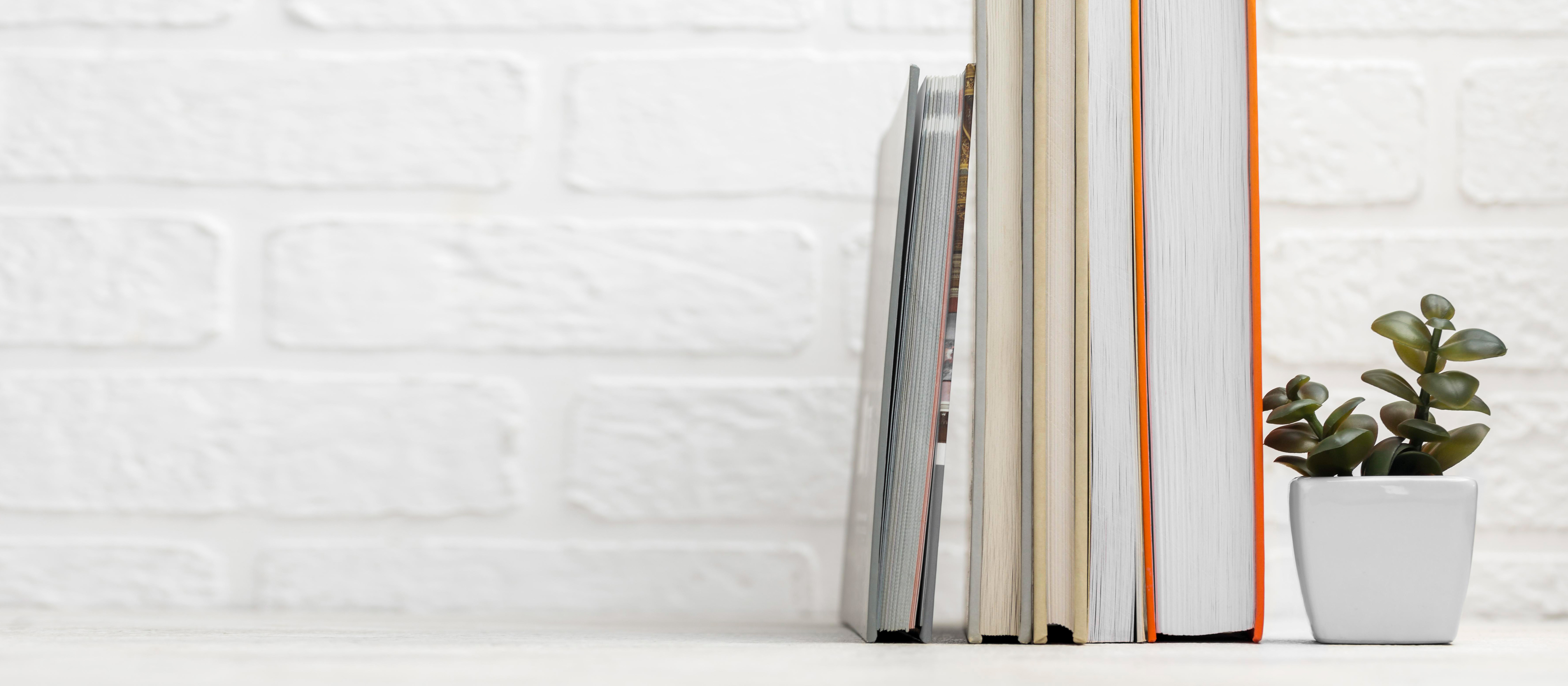photograph of a few books and a little plant on a shelf