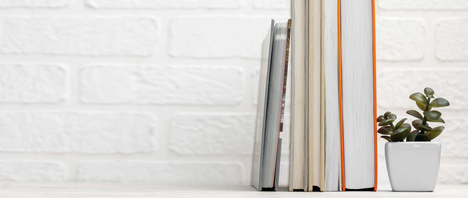 photograph of a few books and a little plant on a shelf