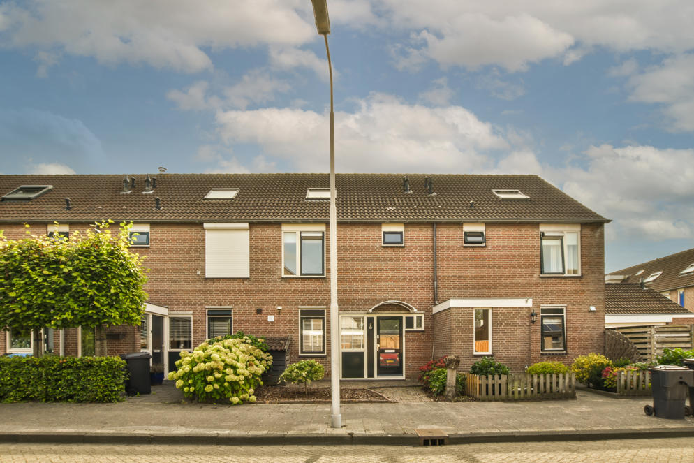 Terraced houses with a clear blue sky in the background and green plants in the gardens out front