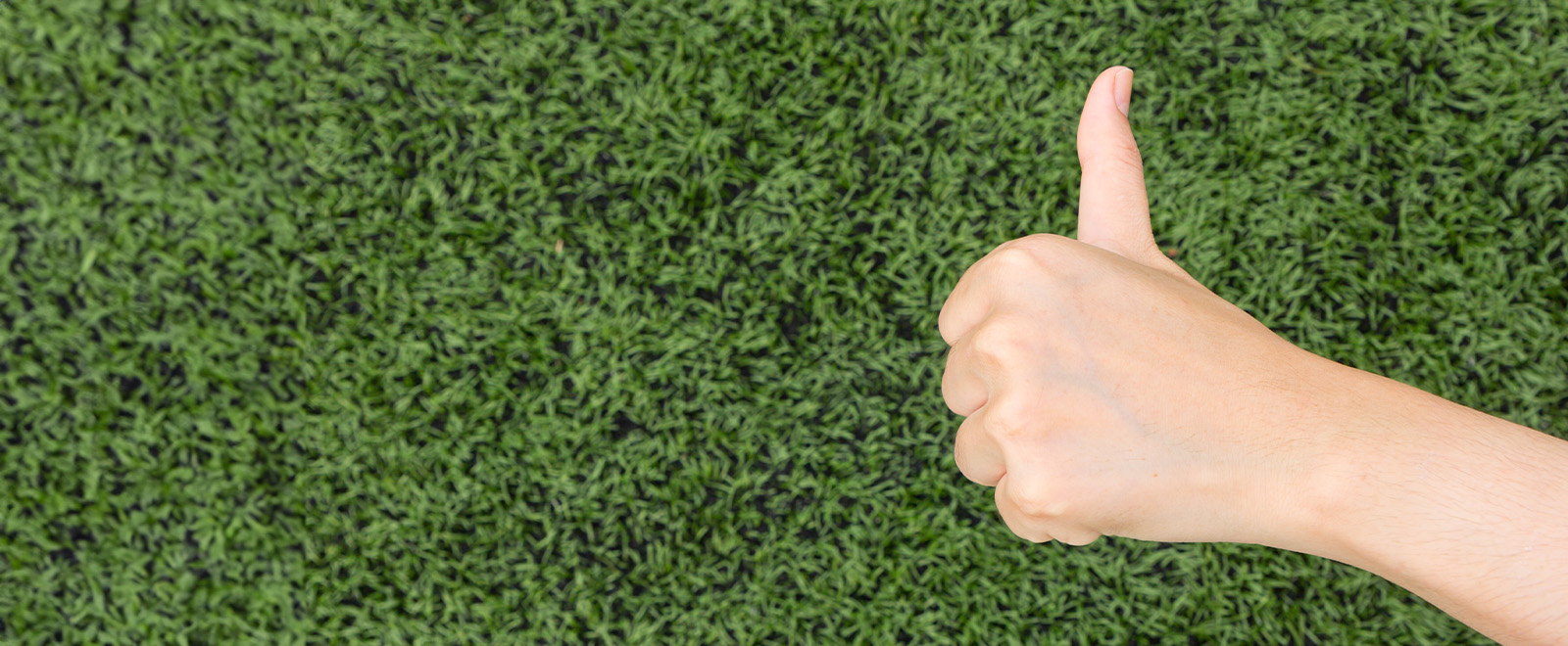 Thumbs Up On Green Grass Banner Image