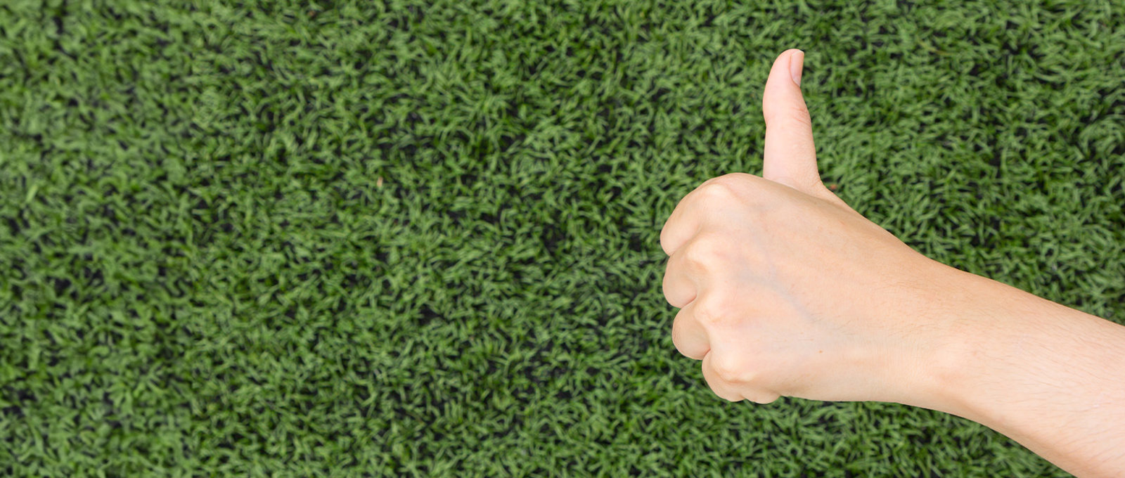 Thumbs Up On Green Grass Banner Image