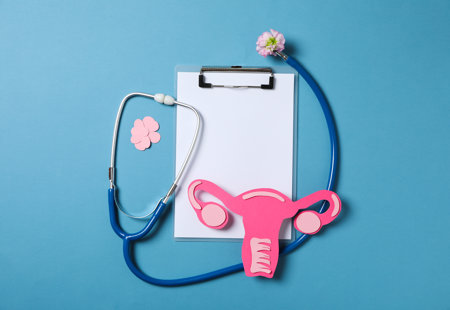 Pink cardboard uterus on a clipboard, stethoscope, pink flowers and blue background.