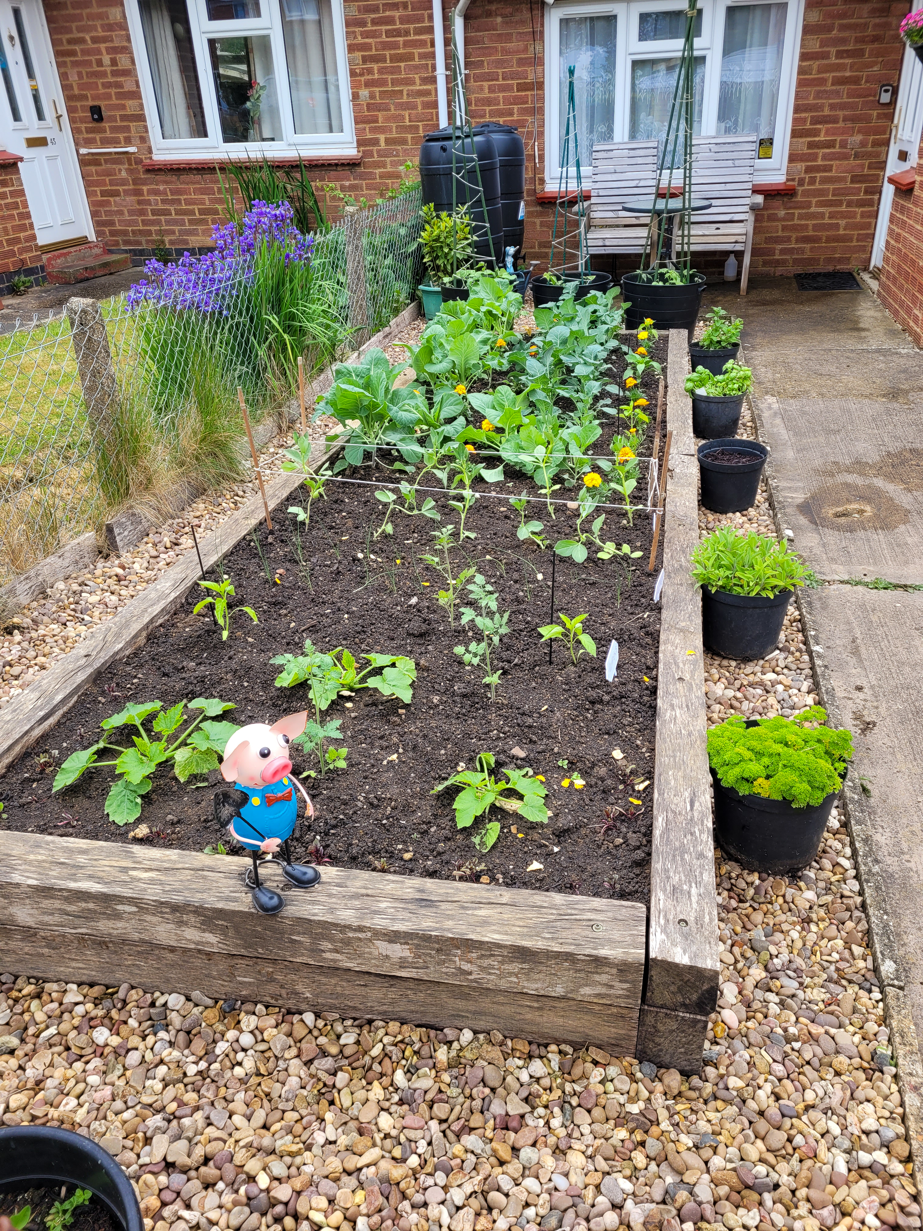 Photo of a customer's garden