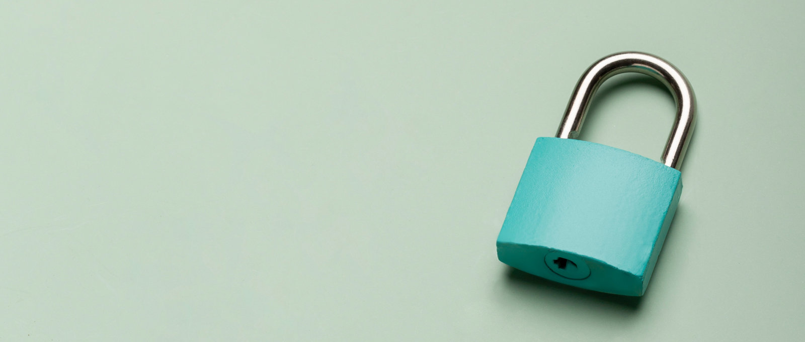 Photo of a green metal padlock lying on a light green surface